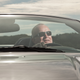 Image for article titled Ten Things Everyone Gets Wrong About Car Enthusiasts